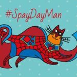 Новости SpayDay: Россия за стерилизацию