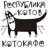 коты