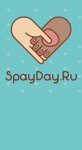 Новости SpayDay: общественные организации